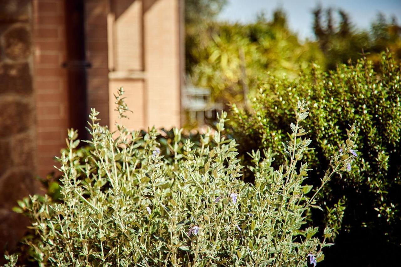 Piccolo Hotel La Valle Pienza Exterior photo